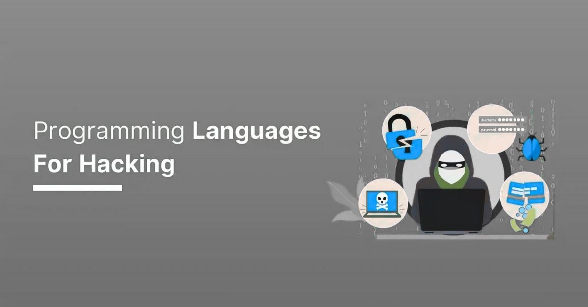 Best Programming Languages for Hacking in 2025 - Networking
