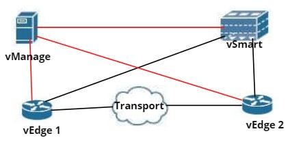 sd wan