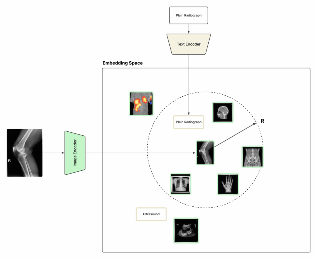 embedding_space