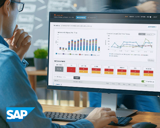 Why SAP HANA Performance Is an Application Owner Problem, Not Just a DBA Problem